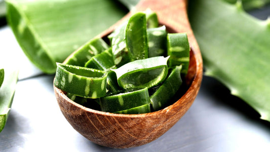 Amazing-Benefits-of-Aloe-Vera-for-Baby's-Skin