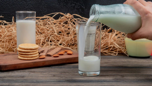 Ayurvedic perspective on milk